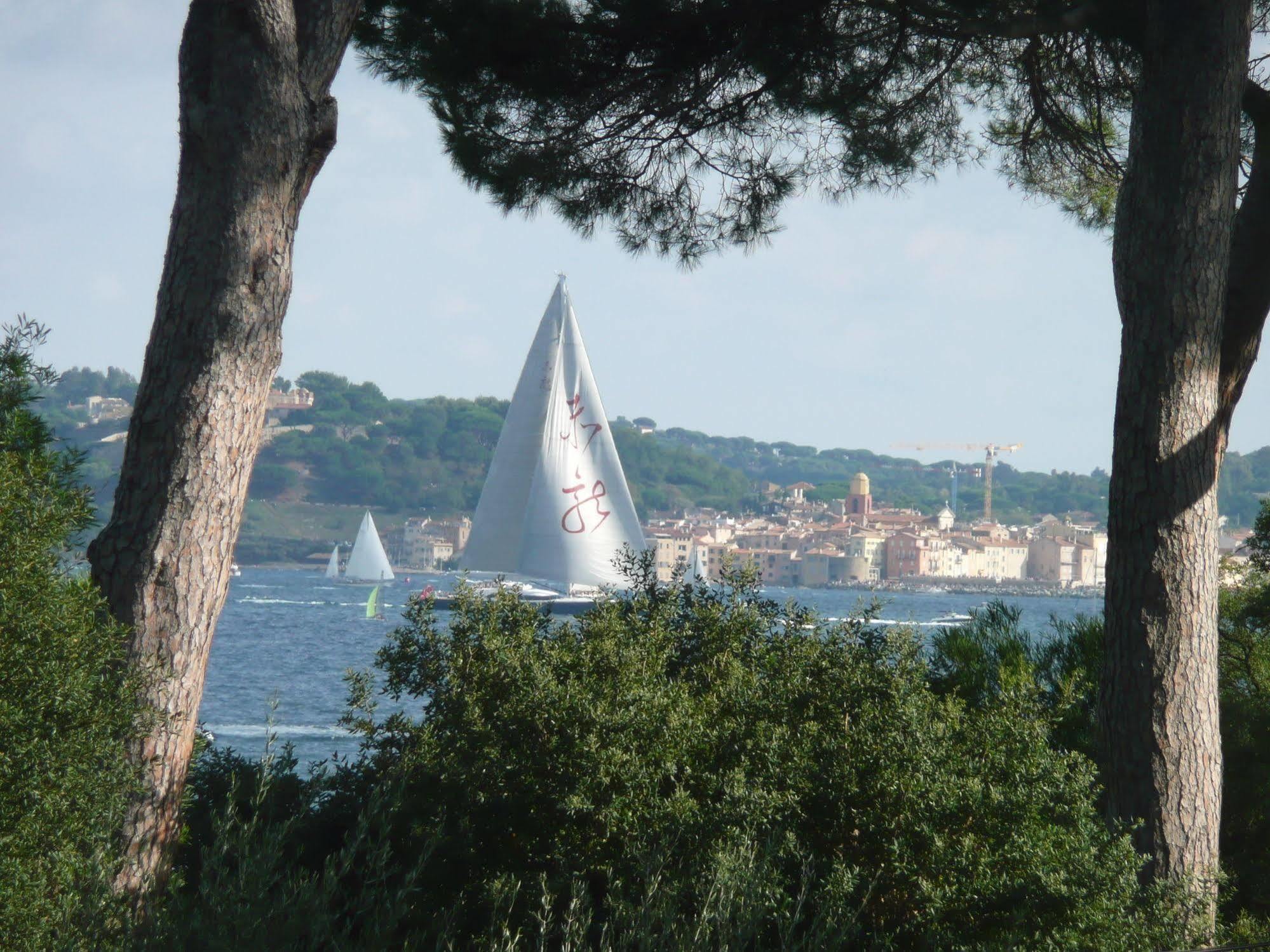Villa Californie Sainte-Maxime Exteriör bild
